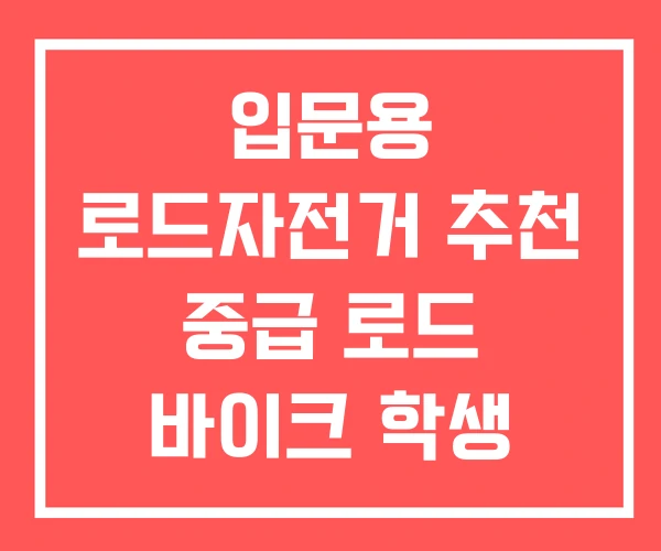 입문용 로드자전거 추천 중급 로드 바이크 학생