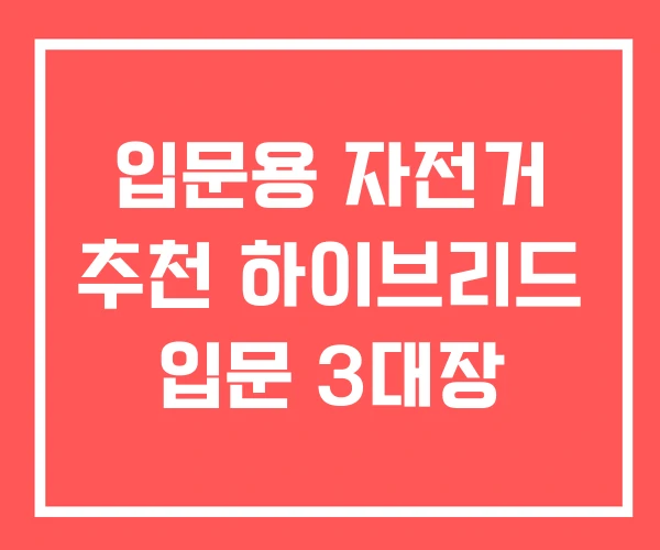 입문용 자전거 추천 하이브리드 입문 3대장