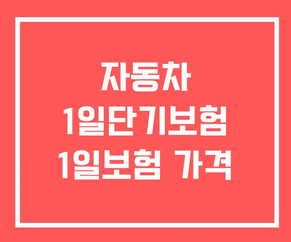 자동차 1일단기보험 1일보험 가격