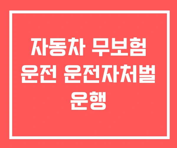 자동차 무보험 운전 운전자처벌 운행