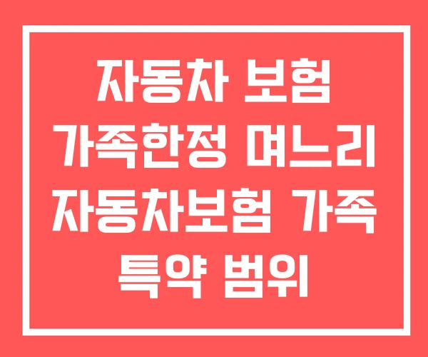 자동차 보험 가족한정 며느리 자동차보험 가족 특약 범위