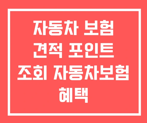자동차 보험 견적 포인트 조회 자동차보험 혜택