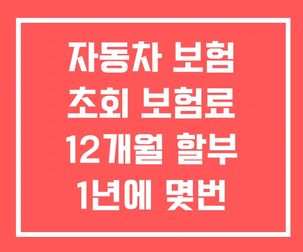 자동차 보험 초회 보험료 12개월 할부 1년에 몇번