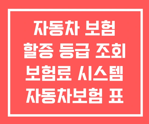 자동차 보험 할증 등급 조회 보험료 시스템 자동차보험 표