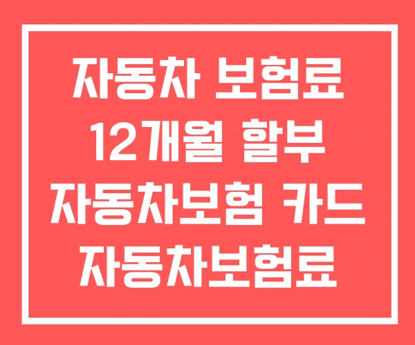 자동차 보험료 12개월 할부 자동차보험 카드 자동차보험료
