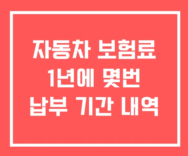 자동차 보험료 1년에 몇번 납부 기간 내역
