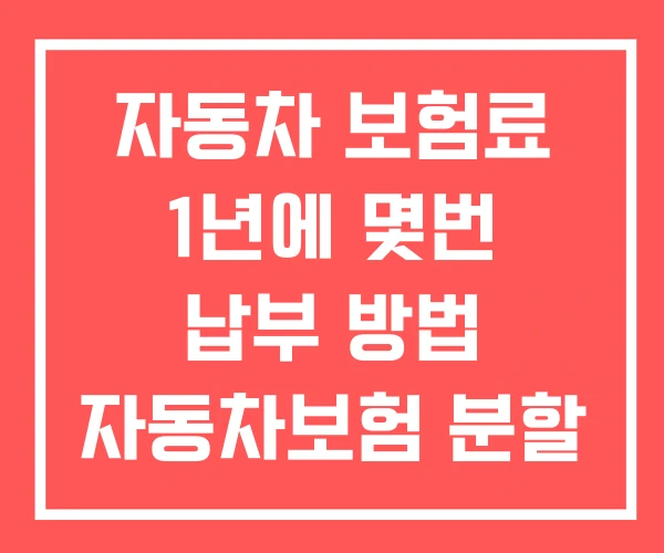 자동차 보험료 1년에 몇번 납부 방법 자동차보험 분할