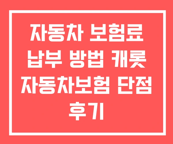 자동차 보험료 납부 방법 캐롯 자동차보험 단점 후기
