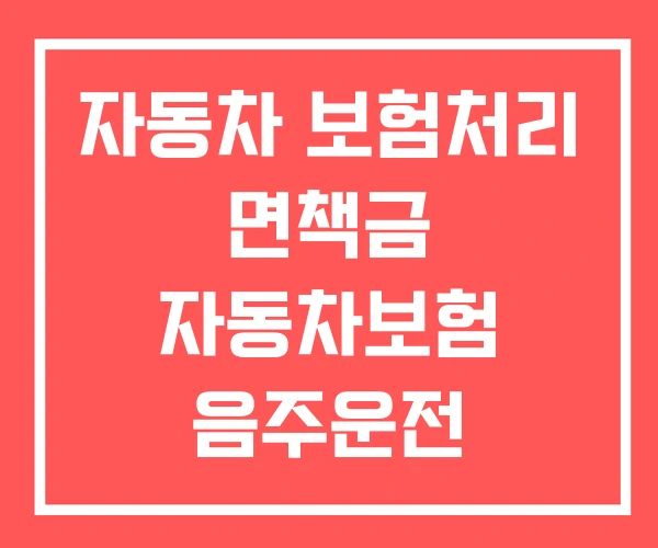 자동차 보험처리 면책금 자동차보험 음주운전