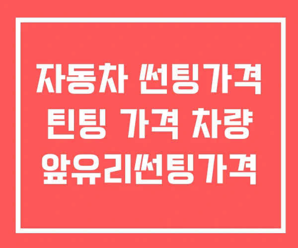 자동차 썬팅가격 틴팅 가격 차량 앞유리썬팅가격