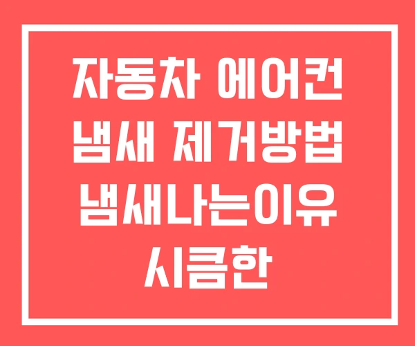 자동차 에어컨 냄새 제거방법 냄새나는이유 시큼한 자동차 에어컨 냄새 제거방법 냄새나는이유 시큼한