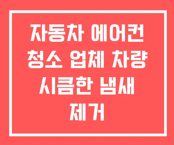 자동차 에어컨 청소 업체 차량 시큼한 냄새 제거 자동차 에어컨 청소 업체 차량 시큼한 냄새 제거