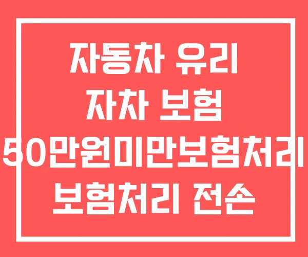 자동차 유리 자차 보험 50만원미만보험처리 보험처리 전손