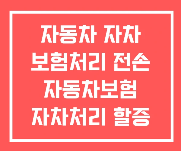 자동차 자차 보험처리 전손 자동차보험 자차처리 할증 자동차 자차 보험처리 전손 자동차보험 자차처리 할증
