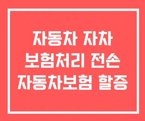자동차 자차 보험처리 전손 자동차보험 할증 자동차 자차 보험처리 전손 자동차보험 할증