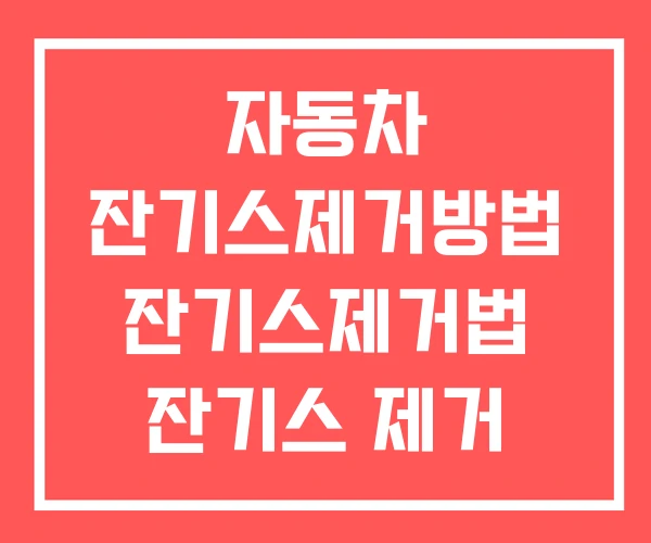자동차 잔기스제거방법 잔기스제거법 잔기스 제거