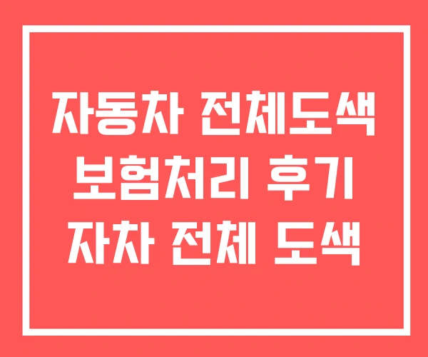 자동차 전체도색 보험처리 후기 자차 전체 도색