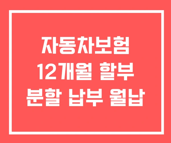 자동차보험 12개월 할부 분할 납부 월납