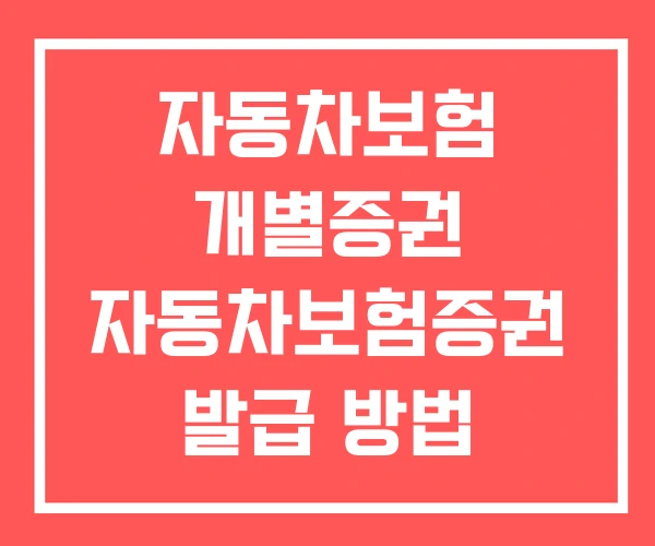 자동차보험 개별증권 자동차보험증권 발급 방법