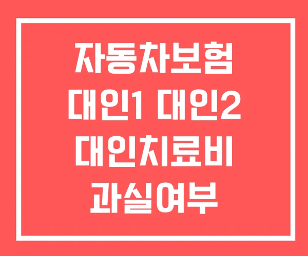 자동차보험 대인1 대인2 대인치료비 과실여부 자동차보험 대인1 대인2 대인치료비 과실여부