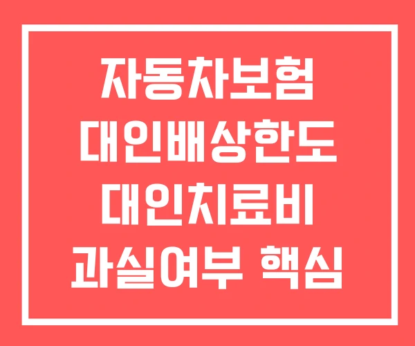 자동차보험 대인배상한도 대인치료비 과실여부 핵심 대인이론과 실무