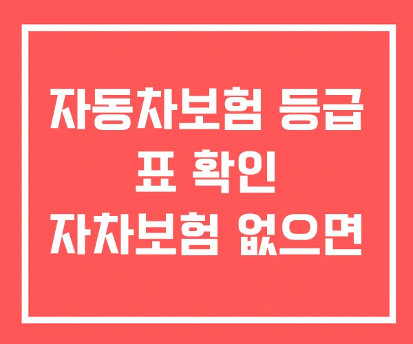 자동차보험 등급 표 확인 자차보험 없으면