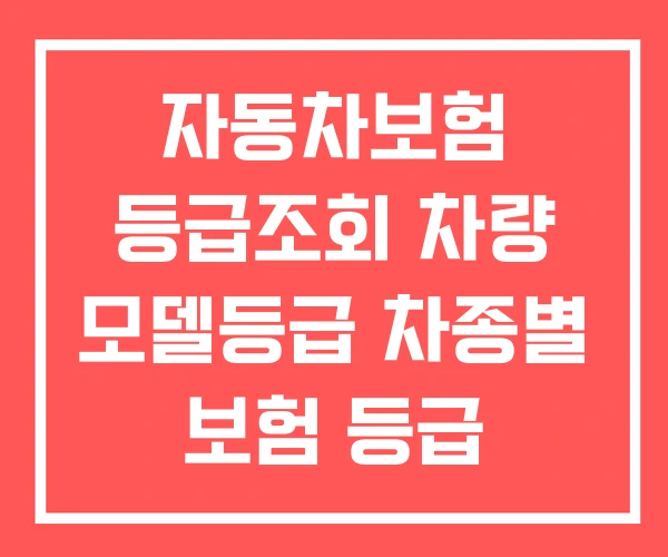 자동차보험 등급조회 차량 모델등급 차종별 보험 등급