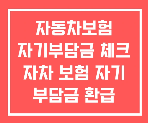 자동차보험 자기부담금 체크 자차 보험 자기 부담금 환급 자동차보험 자기부담금 체크 자차 보험 자기 부담금 환급