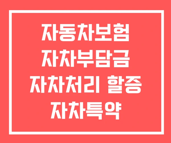 자동차보험 자차부담금 자차처리 할증 자차특약