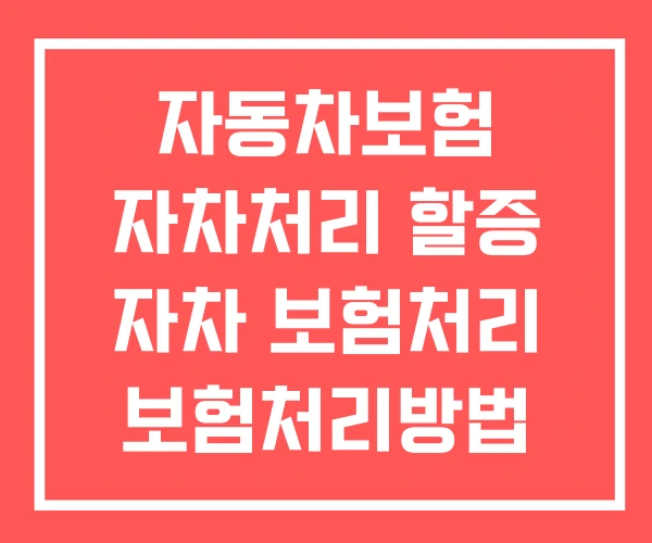자동차보험 자차처리 할증 자차 보험처리 보험처리방법