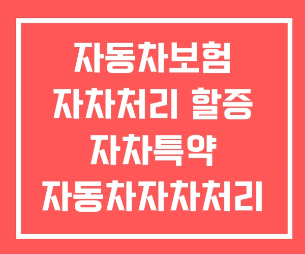 자동차보험 자차처리 할증 자차특약 자동차자차처리