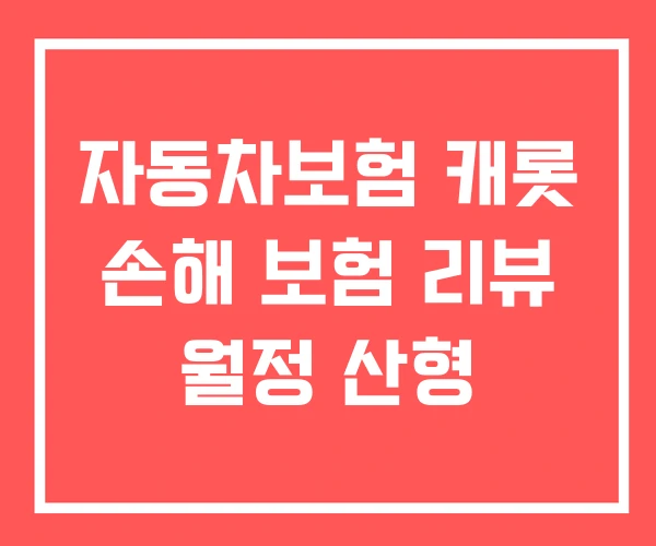 자동차보험 캐롯 손해 보험 리뷰 월정 산형