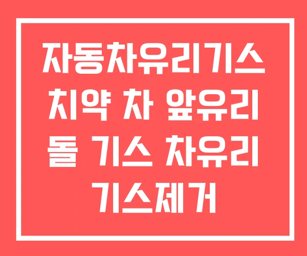 자동차유리기스 치약 차 앞유리 돌 기스 차유리 기스제거