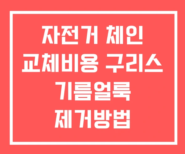 자전거 체인 교체비용 구리스 기름얼룩 제거방법