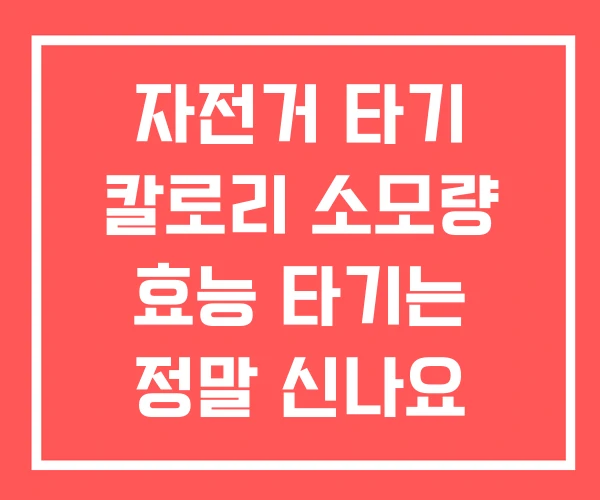 자전거 타기 칼로리 소모량 효능 타기는 정말 신나요