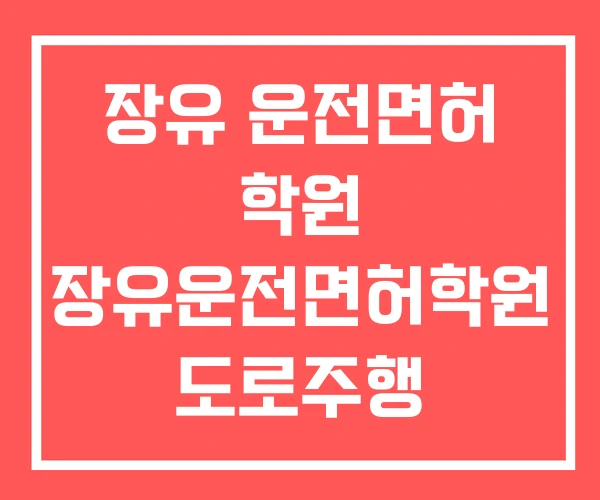 장유 운전면허 학원 장유운전면허학원 도로주행