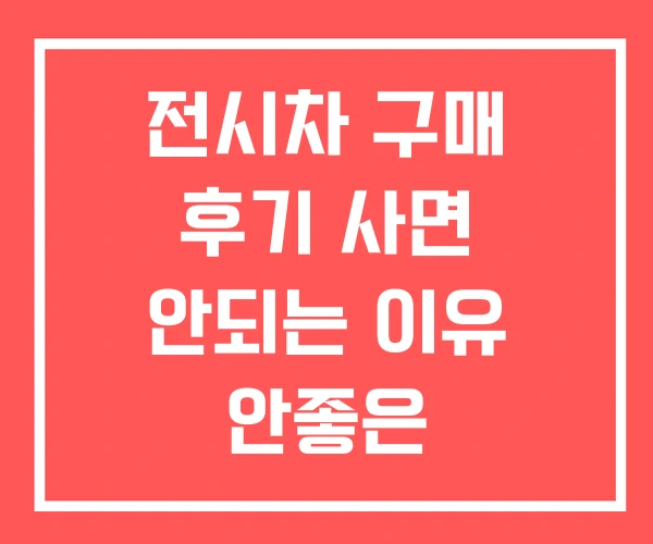 전시차 구매 후기 사면 안되는 이유 안좋은