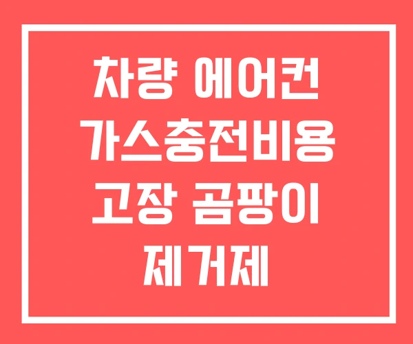 차량 에어컨 가스충전비용 고장 곰팡이 제거제