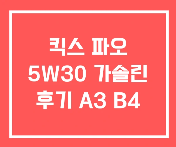킥스 파오 5W30 가솔린 후기 A3 B4 킥스 파오 5W30 가솔린 후기 A3 B4
