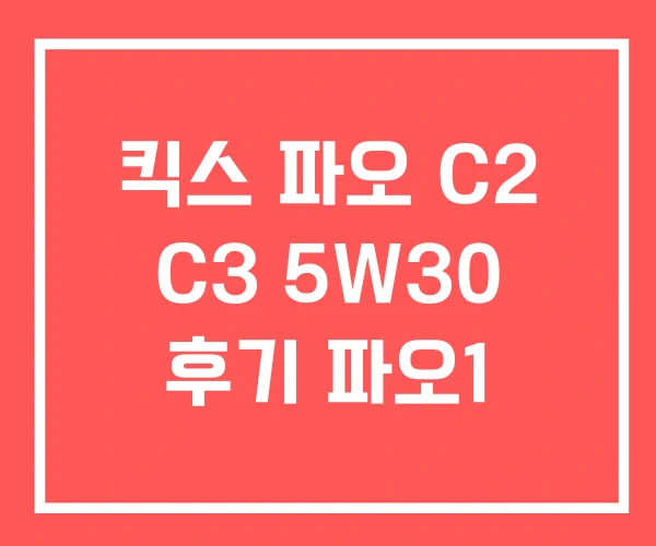킥스 파오 C2 C3 5W30 후기 파오1