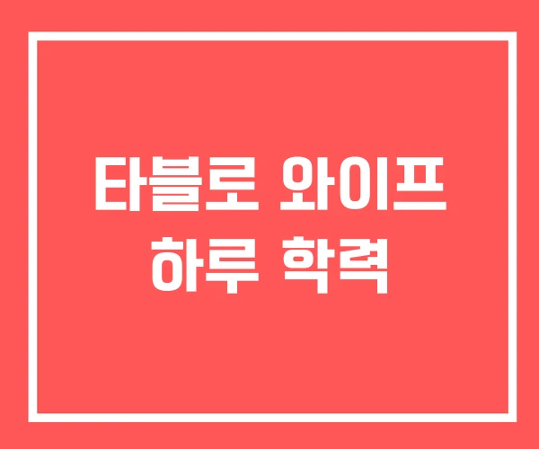 타블로 와이프 하루 학력