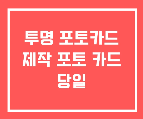 투명 포토카드 제작 포토 카드 당일