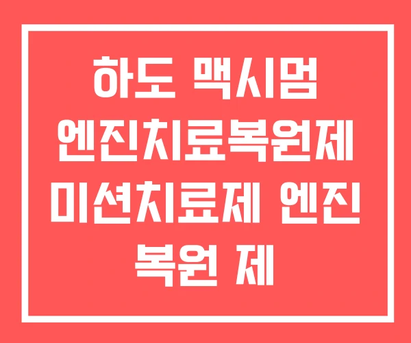 하도 맥시멈 엔진치료복원제 미션치료제 엔진 복원 제 하도 맥시멈 엔진치료복원제 미션치료제 엔진 복원 제