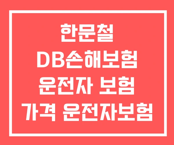 한문철 DB손해보험 운전자 보험 가격 운전자보험 가입방법